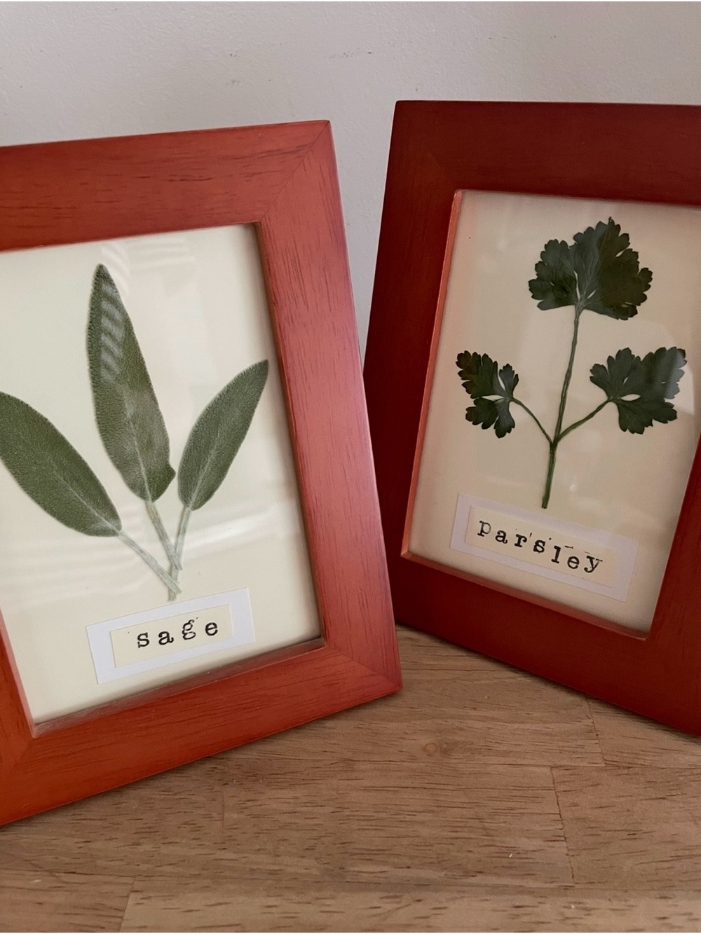 Pair of Dried Herb Flower Art Frames